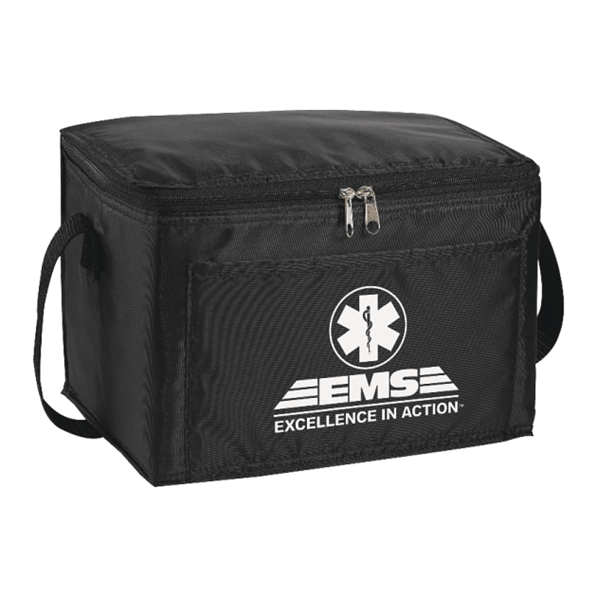 Spectrum Budget 6-Can Lunch Cooler